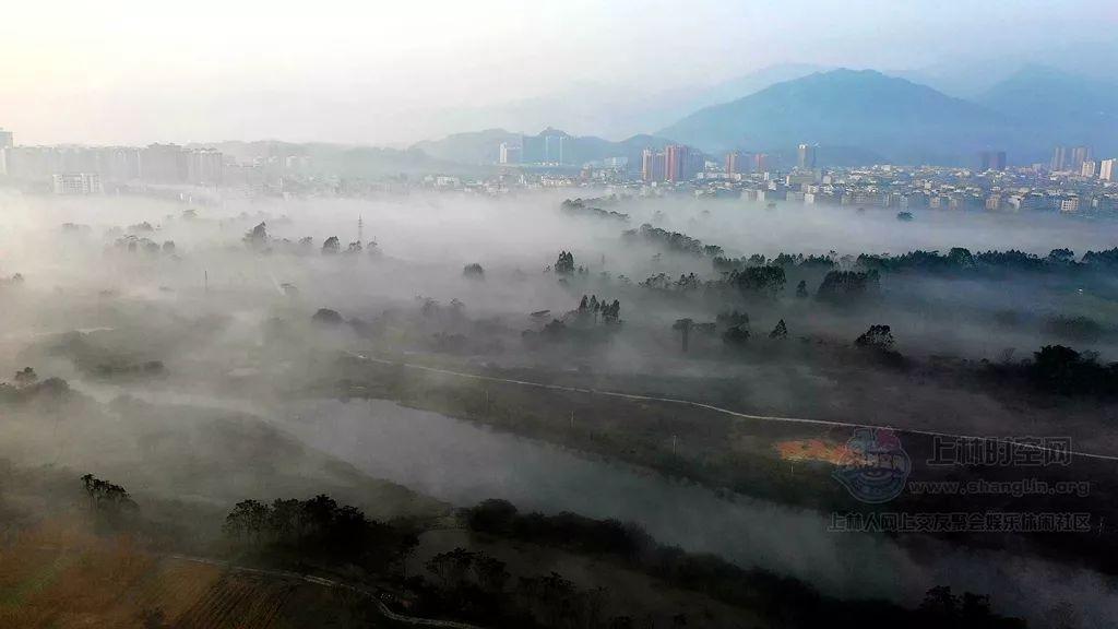 解惑蜗牛,河南信阳的明星都有谁啊?教你问答