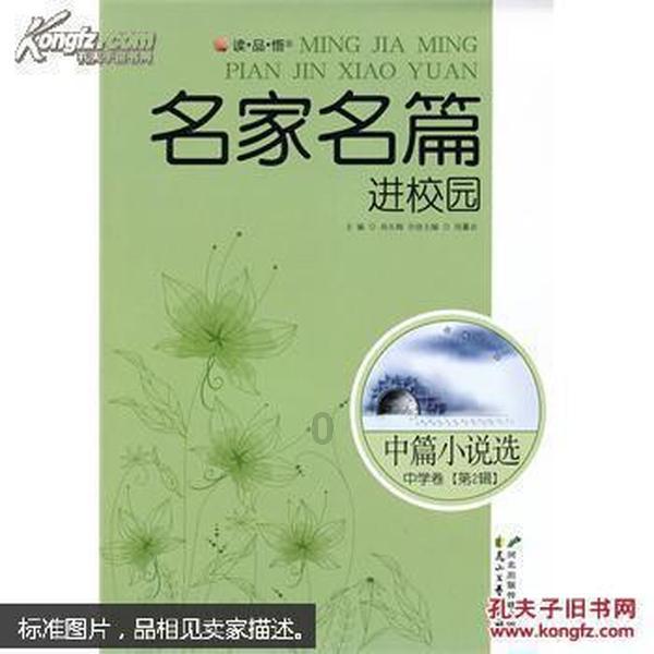 发现Chinese silk 表示的是复数还是单数?问题并得到解答